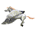 pegasis_r.gif (12152 bytes)